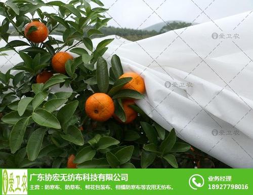 5,沙糖橘留树不摘,能保持果品新鲜,错开集中上市,减轻采摘,运输,贮藏
